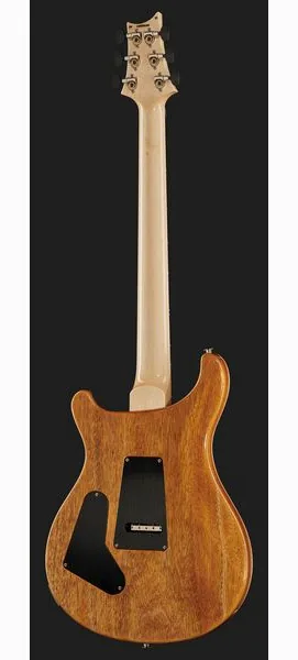 PRS Custom 24 Floyd 10 Top CH 2024, detalj 3
