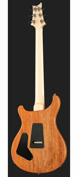 PRS Custom 24 Floyd 10 Top CH, detalj 3