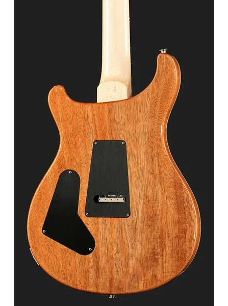 PRS Custom 24 Floyd 10 Top CH, detalj 5