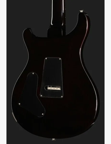 PRS Custom 24 Floyd BGWB, detalj 5