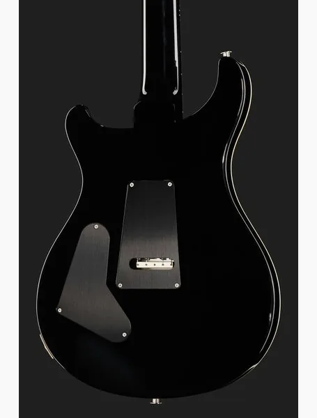 PRS Custom 24 Floyd FW, detalj 5