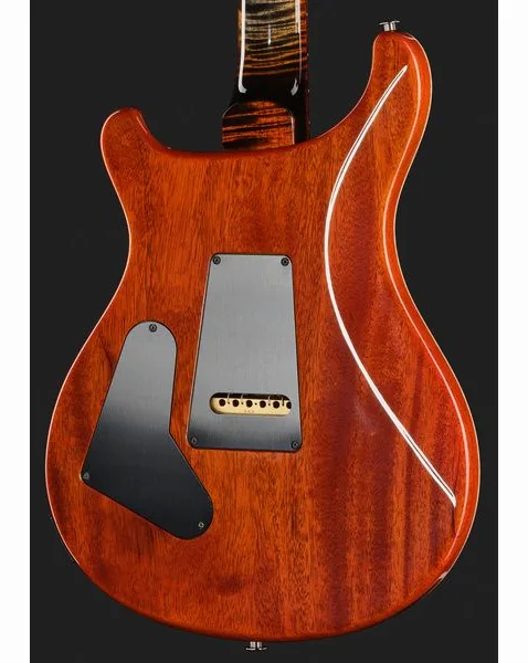 PRS Custom 24 WL Burnt Maple Leaf, detalj 5