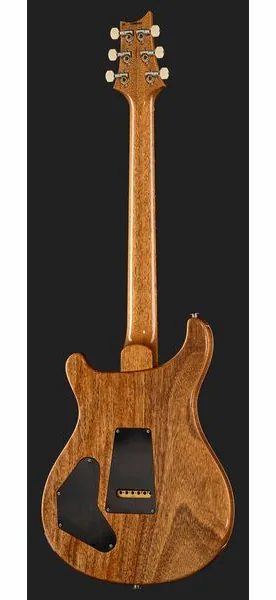 PRS DGT Birds Charcoal, detalj 3