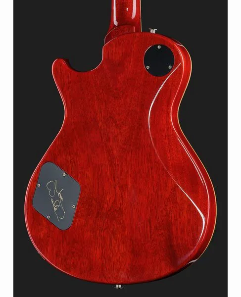 PRS McCarty 594 Joe Walsh LTD, detalj 5
