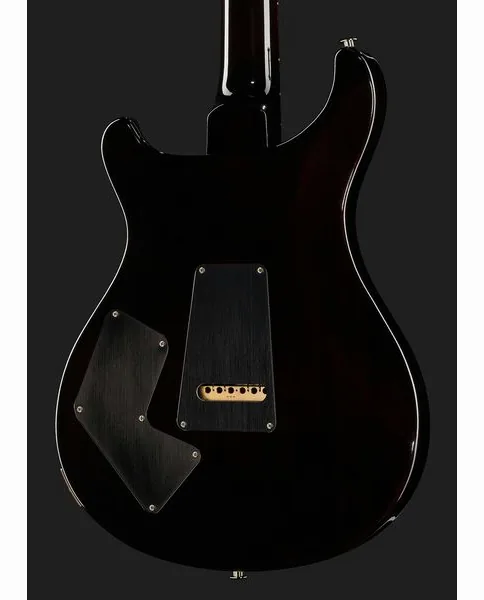 PRS Modern Eagle V BW, detalj 5