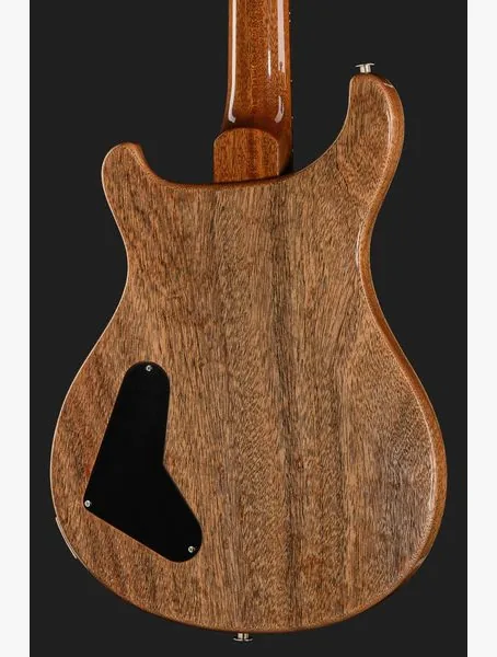 PRS Paul's Guitar Mango LTD TE, detalj 5
