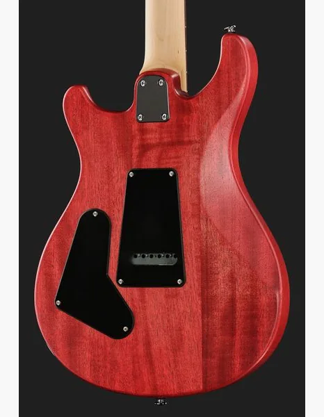 PRS SE CE 24 Standard Satin VC, detalj 5