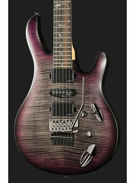 PRS SE Chleo Herman Li CPB, detalj 4