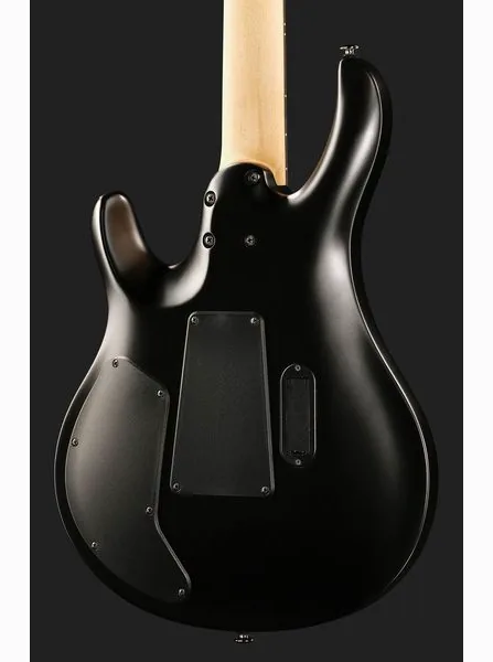 PRS SE Chleo Herman Li MB, detalj 5