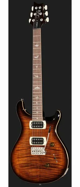 PRS SE Custom 24 BG, detalj 2