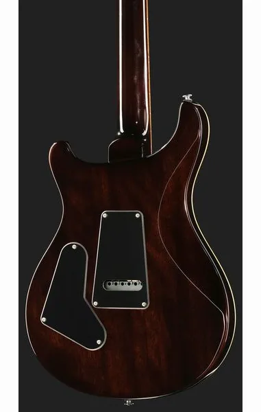 PRS SE Custom 24 BG, detalj 5