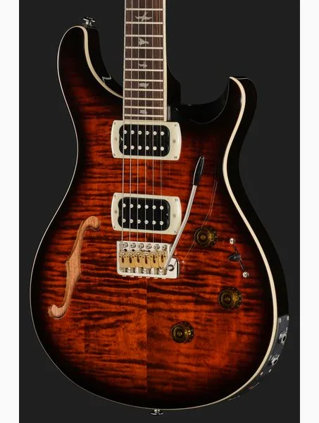 PRS SE Custom 24 Semi-Hollow OB, detalj 4
