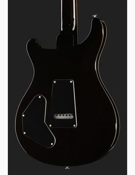 PRS SE DGT Gold Top, detalj 5