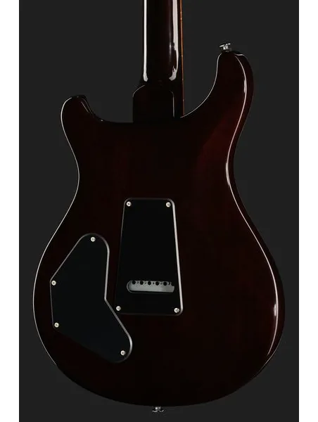 PRS SE DGT Standard Moons MTS, detalj 5
