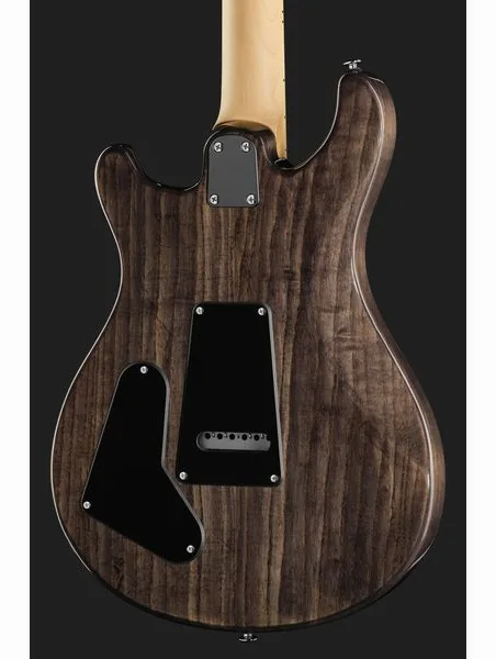 PRS SE Swamp Ash Special CH, detalj 5