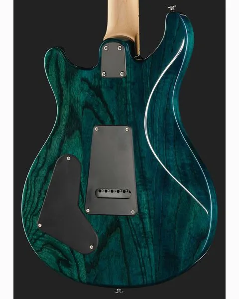 PRS SE Swamp Ash Special IB, detalj 5