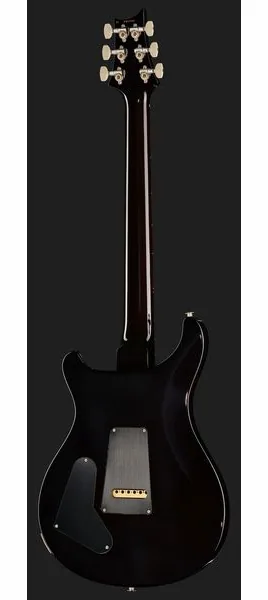 PRS Special Semi-Hollow BGWB, detalj 3