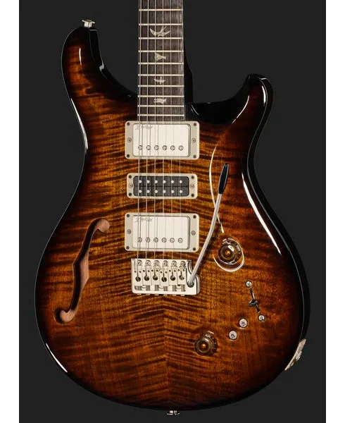 PRS Special Semi-Hollow BGWB, detalj 4