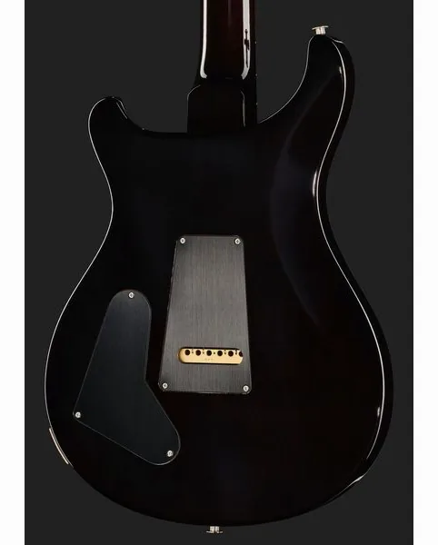 PRS Special Semi-Hollow BGWB, detalj 5