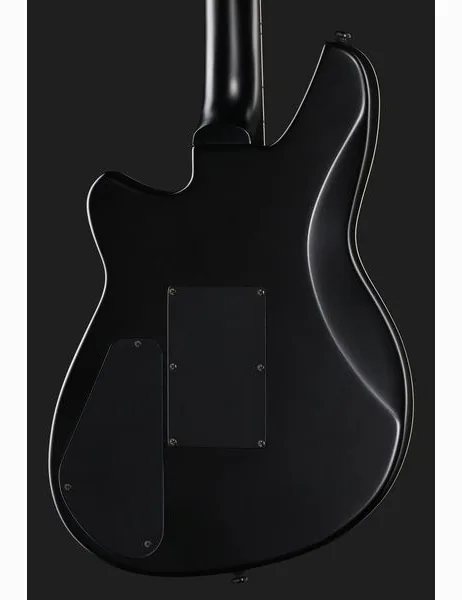 Reverend Vernon Reid Totem Talisman, detalj 5