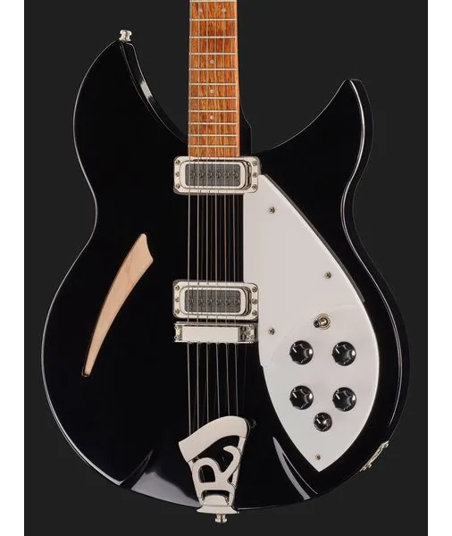 Rickenbacker 330 JG, detalj 4