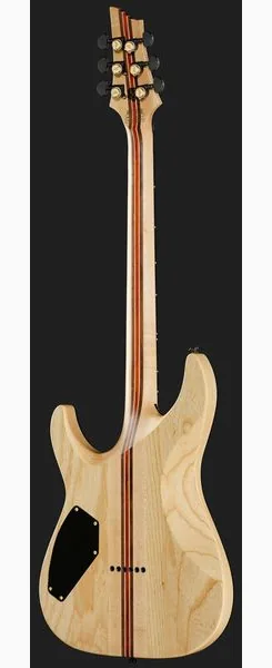 Schecter C-1 50th Anniversary GB, detalj 3
