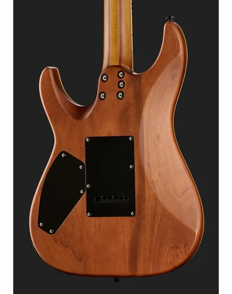 Schecter C-1 Exotic Spalted Maple SNVB, detalj 5