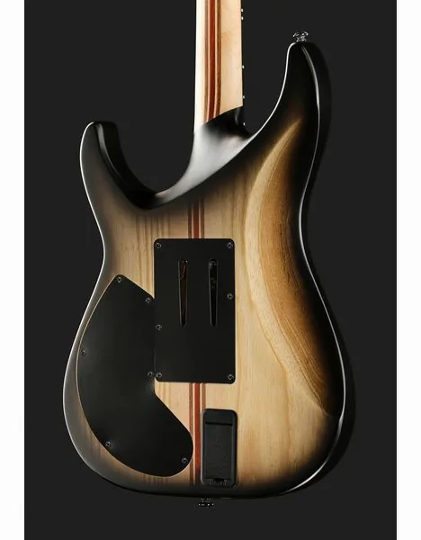 Schecter C-1 FR S Pale Moon SNBB, detalj 5