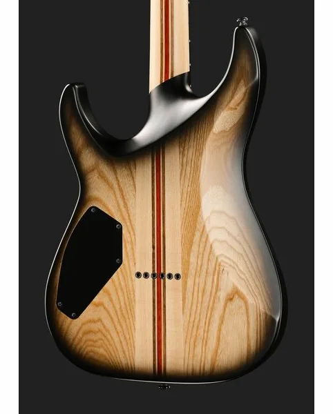 Schecter C-1 Pale Moon SNBB, detalj 5