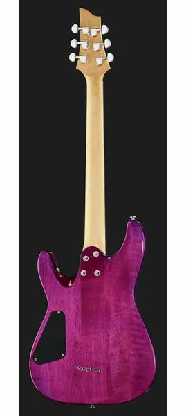 Schecter C-6 Plus EM, detalj 3