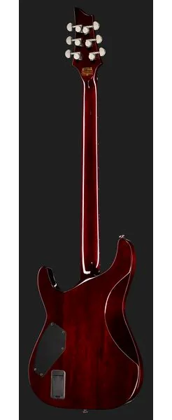 Schecter Hellraiser C-VI BCH, detalj 3