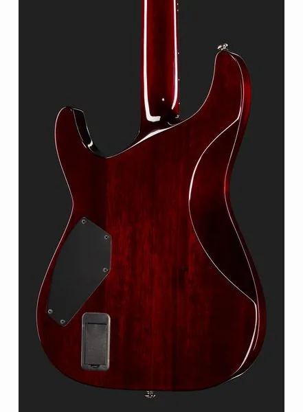 Schecter Hellraiser C-VI BCH, detalj 5