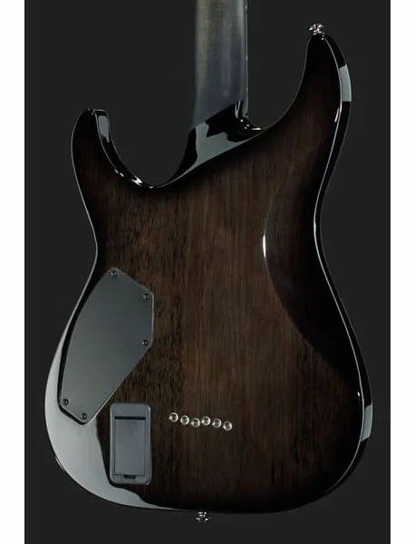 Schecter Hellraiser Hybrid C-1 TBB, detalj 5