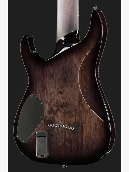 Schecter Hellraiser Hybrid C-8 TBB, detalj 5