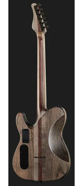 Schecter PT SLS Evil Twin, detalj 3
