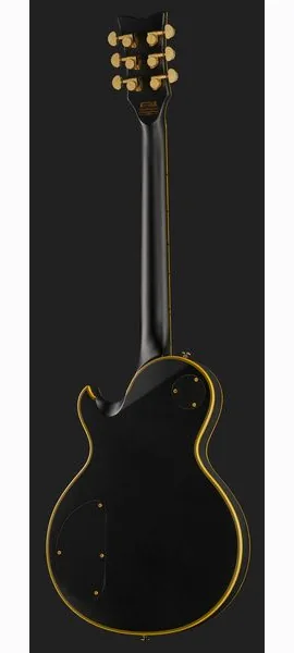 Schecter Solo II Custom ABSN, detalj 3