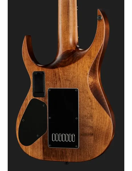 Solar Guitars A1.7AAN, detalj 5