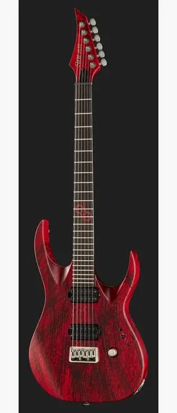 Solar Guitars A2.6Canibalismo+, detalj 2