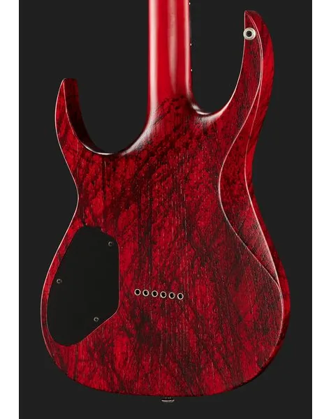 Solar Guitars A2.6Canibalismo+, detalj 5