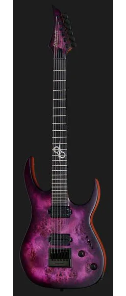 Solar Guitars S1.6PP, detalj 2
