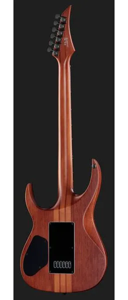 Solar Guitars S1.6PP, detalj 3