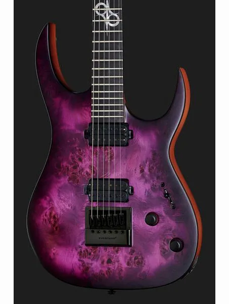 Solar Guitars S1.6PP, detalj 4