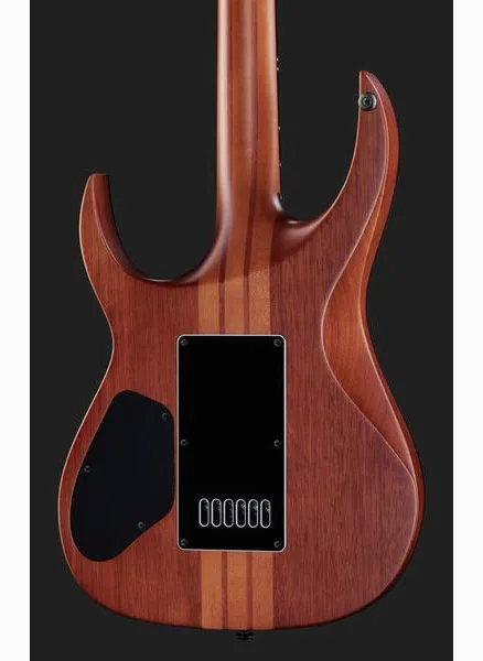 Solar Guitars S1.6PP, detalj 5
