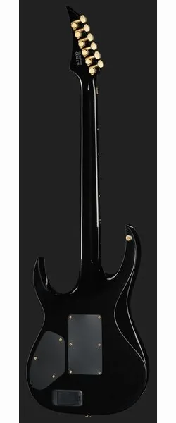 Solar Guitars SR1.6AFRMNS, detalj 3