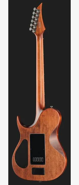 Solar Guitars T1.6AD Aged Natural, detalj 3