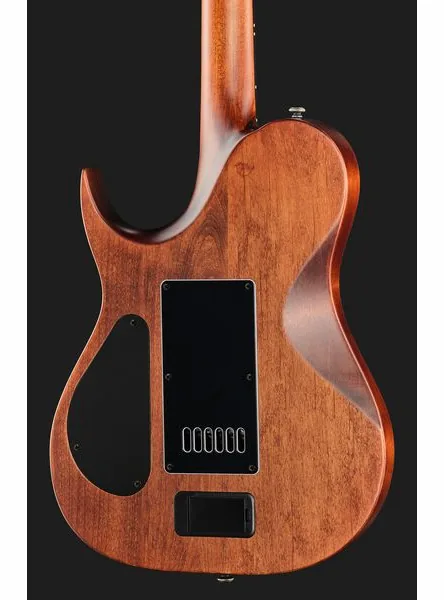 Solar Guitars T1.6AD Aged Natural, detalj 5