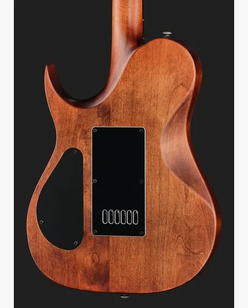 Solar Guitars T1.6D Aged Natural, detalj 5
