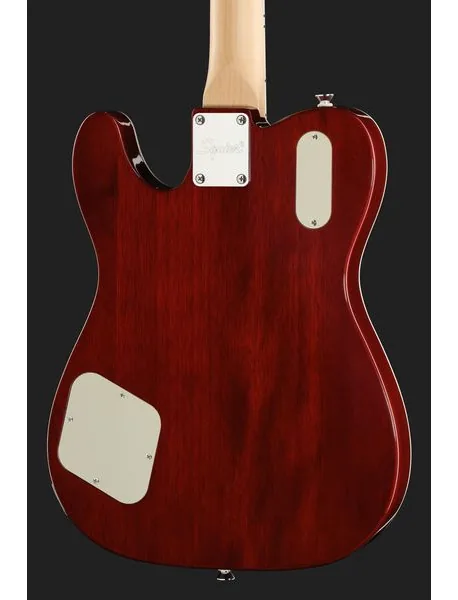 Squier Paranormal Trouble Tele HSB, detalj 5