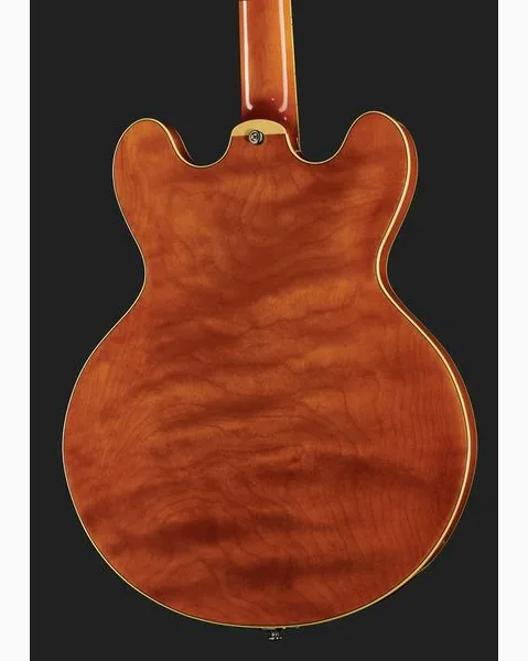 Stanford CR Thinline 30 VB, detalj 5