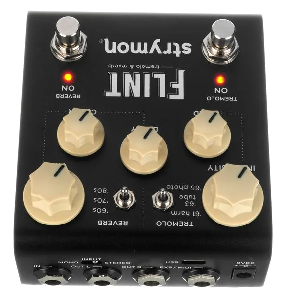 Strymon Flint V2, detalj 5